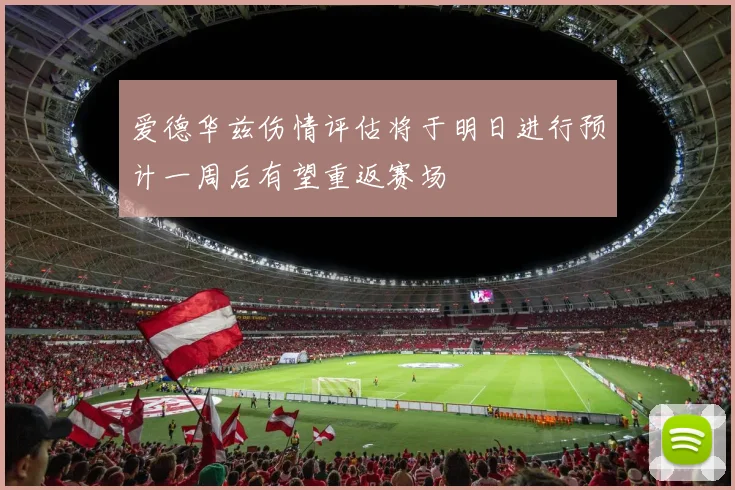 爱德华兹伤情评估将于明日进行预计一周后有望重返赛场