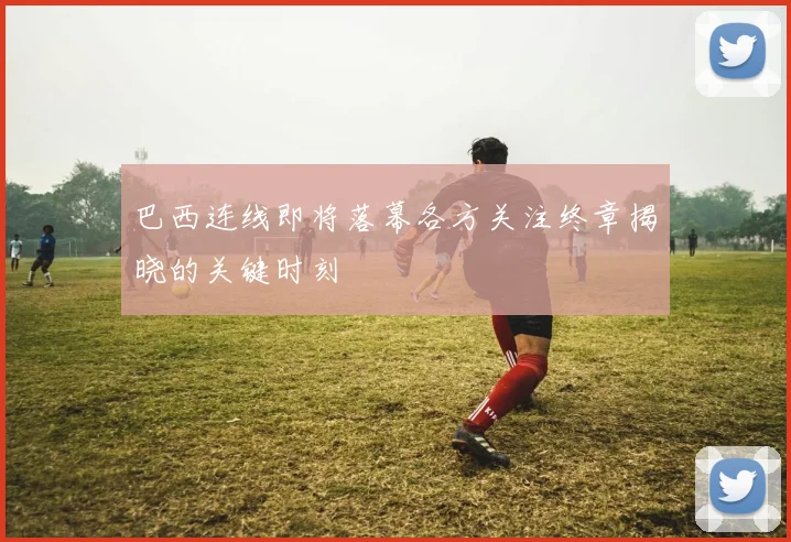巴西连线即将落幕各方关注终章揭晓的关键时刻